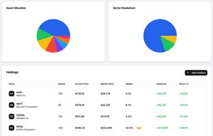 stock distribution inside of a portfolio