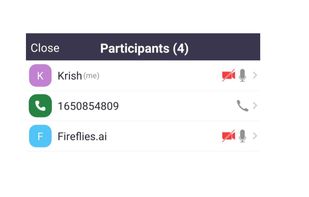 Fireflies.ai screenshot 2