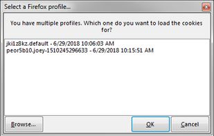 Firefox CookieMan screenshot 1