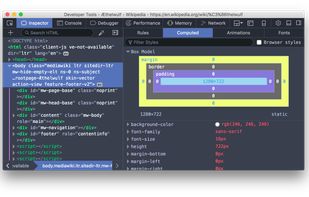 Firefox Developer Tools screenshot 1