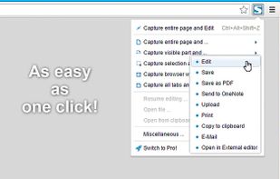 FireShot screenshot 1