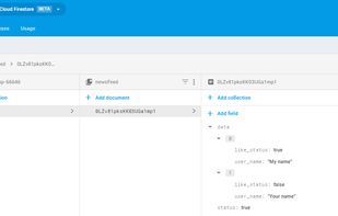 Firestore screenshot 1