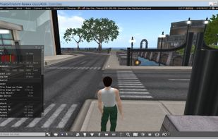 Firestorm Viewer screenshot 1