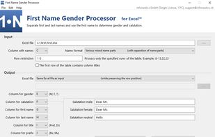 First Name Gender Processor screenshot 1
