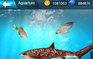 Fishing Championship screenshot 3