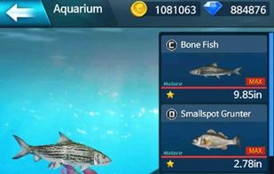 Fishing Championship screenshot 2