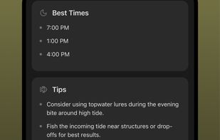 FishTime screenshot 3