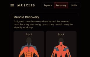 Muscle discovery
