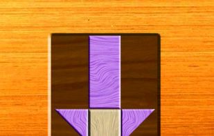 Fit It- A Wood Puzzle screenshot 1