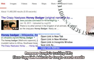 Fix Copy Link Address screenshot 1