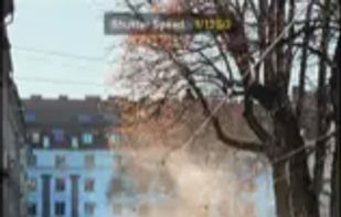 Fjorden Camera screenshot 1