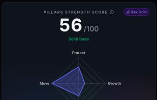 Each pillar scored, rolled into one household score.