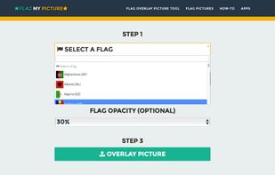 FlagMyPicture screenshot 1
