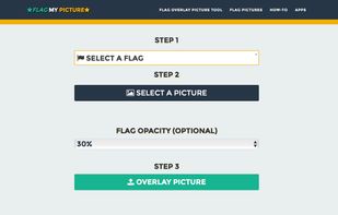 FlagMyPicture screenshot 1