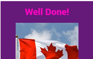 Flags Quiz - Guess the Country screenshot 1