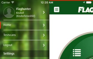 FlagStack screenshot 2