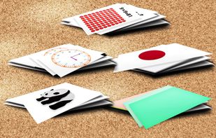 Flash Card screenshot 1