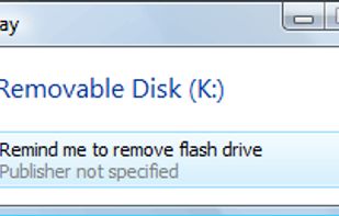Flash Drive Reminder screenshot 1