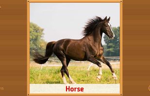 Flashcards for Kids. screenshot 1