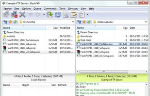 FlashFXP screenshot 3