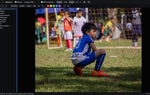 Loupe for single picture