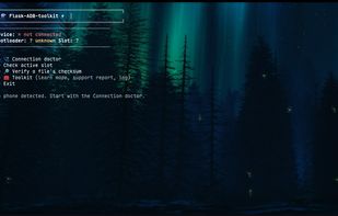 Flask ADB toolkit screenshot 1