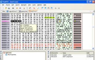 FlexHex screenshot 1