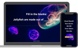 FlexiQuiz screenshot 3