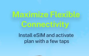 Flexiroam screenshot 1