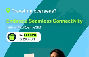 Flexiroam screenshot 1