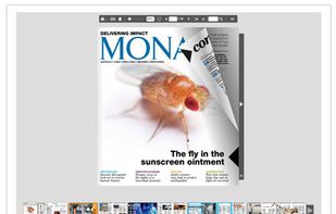 FlowPaper screenshot 1