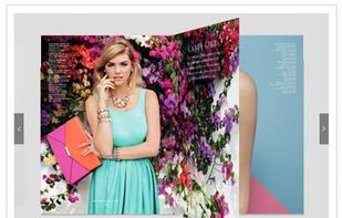 FlowPaper screenshot 1