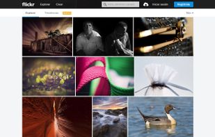 Flickr screenshot 1