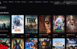 FlickyStream screenshot 1