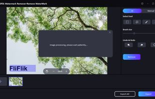FliFlik Watermark Remover screenshot 1