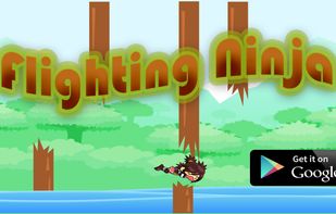 Flighting Ninja screenshot 1