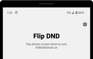 Flip DND screenshot 1