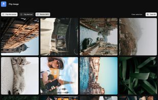 Flip Image screenshot 2
