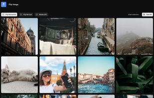Flip Image screenshot 1