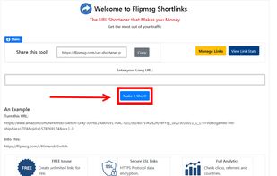 Flipmsg URL Shortener screenshot 1
