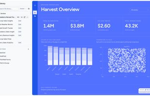 Dashboards, apps and reports in one place, grouped into collections, with custom domains, password protection and email-restricted sharing.