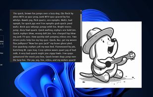 FloatVision screenshot 1