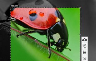 Floomby screenshot 1