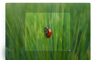 Floomby screenshot 2