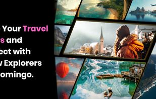 Floomingo screenshot 1