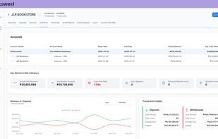 Gain detailed financial insights on application page, including monthly revenue and expense trends, key decision-making metrics, fraud reports, and your custom metrics.