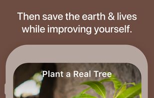 Flora - Green Focus screenshot 1