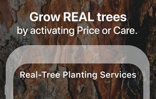 Flora - Green Focus screenshot 2