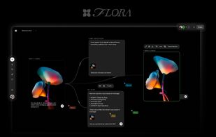 FLORA screenshot 1