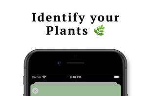 Florra - Plant Care Diary screenshot 3